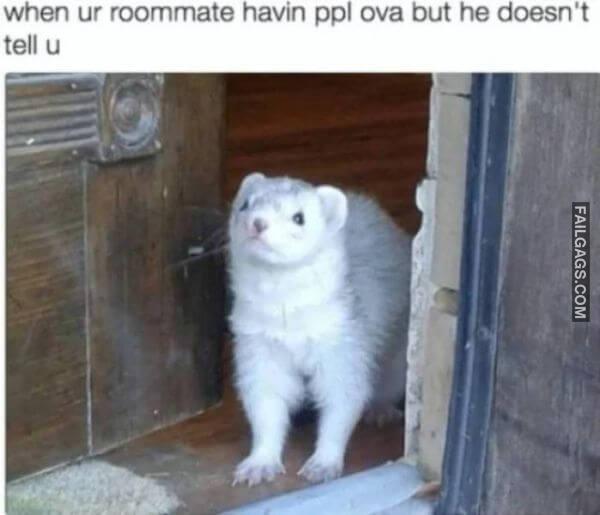 funny Memes About Roommates 8