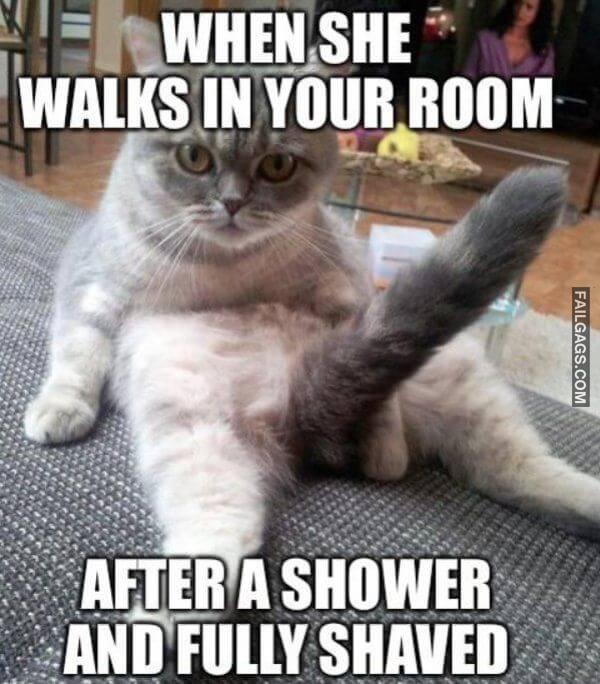 funny Memes For Grown Ups 1