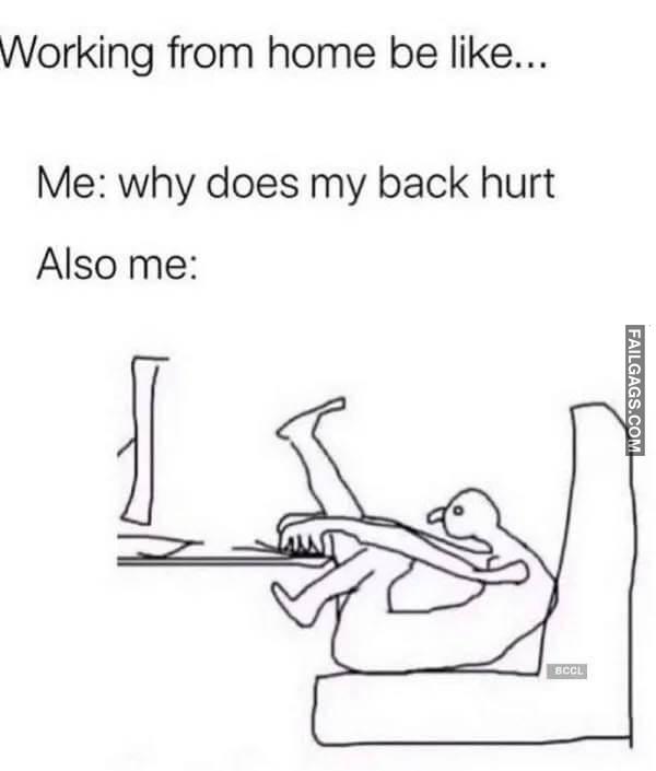 funny Work From Home Memes 17