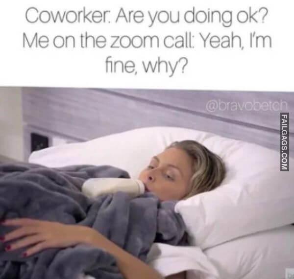 funny Work From Home Memes 19