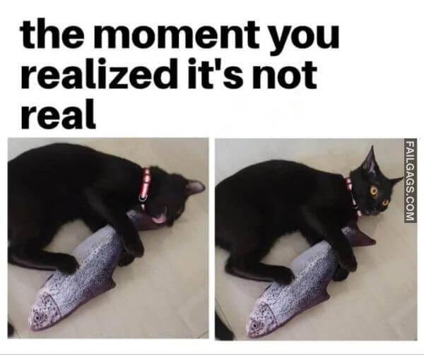 Random Funny Memes 11 9