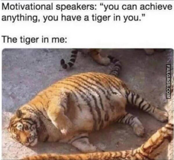 Random Funny Memes 11