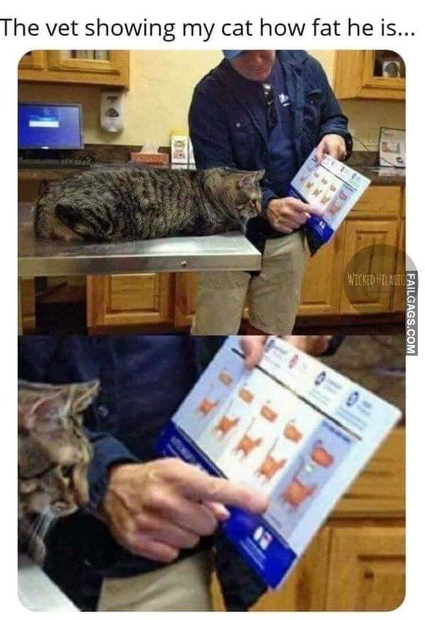 Random Funny Memes 13 4