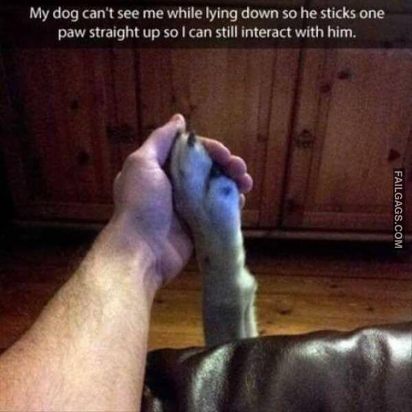 Random Funny Memes 4 7