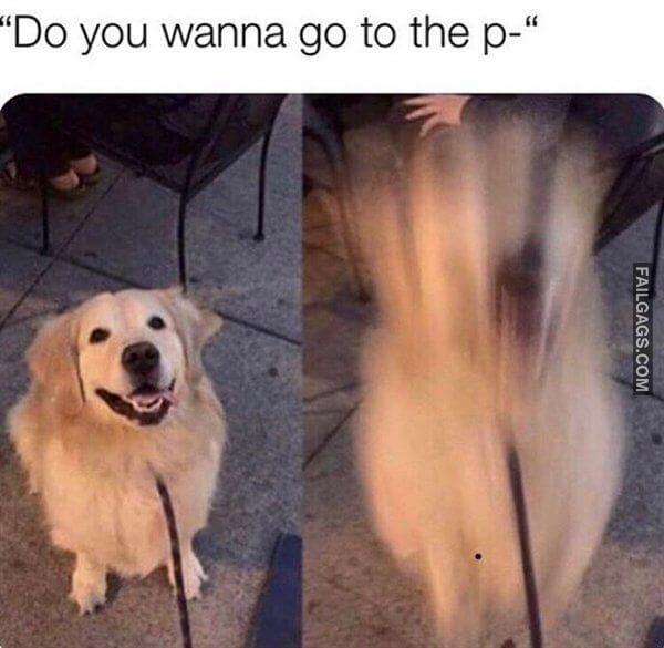 Random Funny Memes 8 1