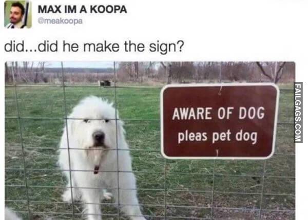 Random Funny Memes 8 4