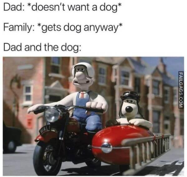 Wholesome Memes 4