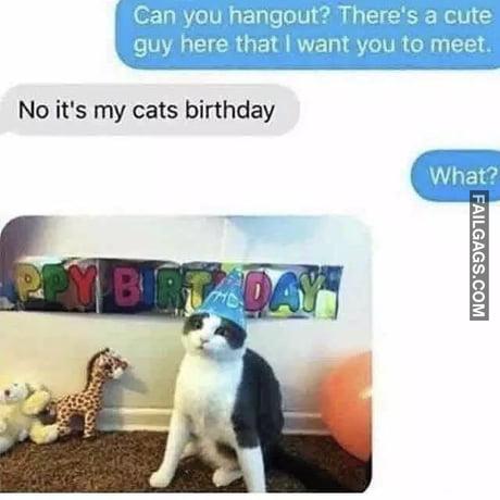 Can You Hangout? Theres a Cute Guy Here That I Want You to Meet No It's My Cats Birthday What? Meme