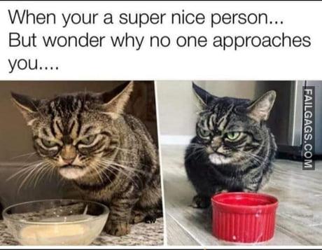 When Your a Super Nice Person... But Wonder Why No One Approaches You Meme