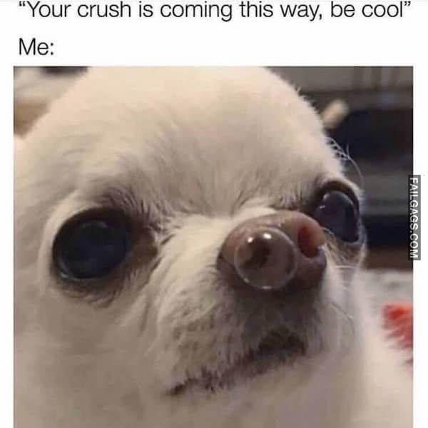 funny Single meme 12