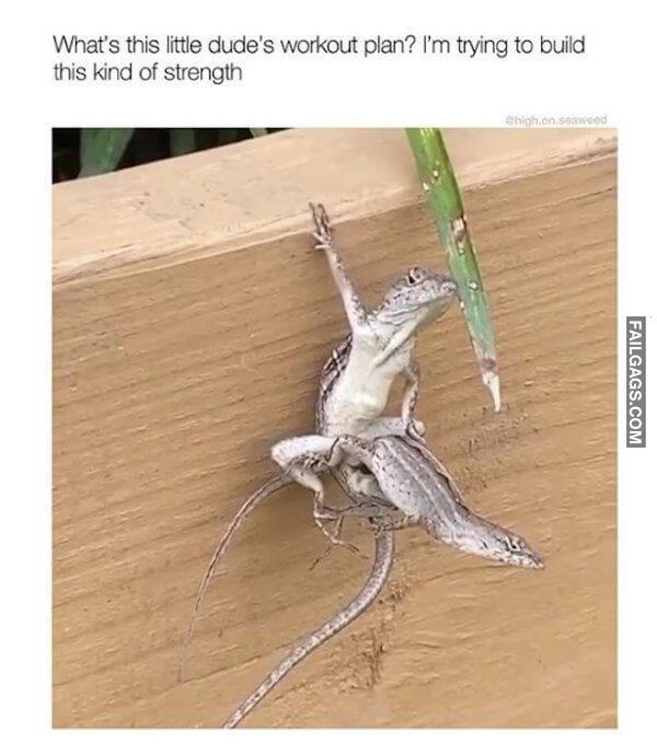 Dirty Humor 13