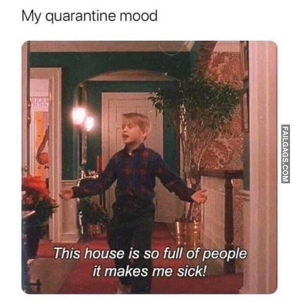 Funny Introvert Memes 4