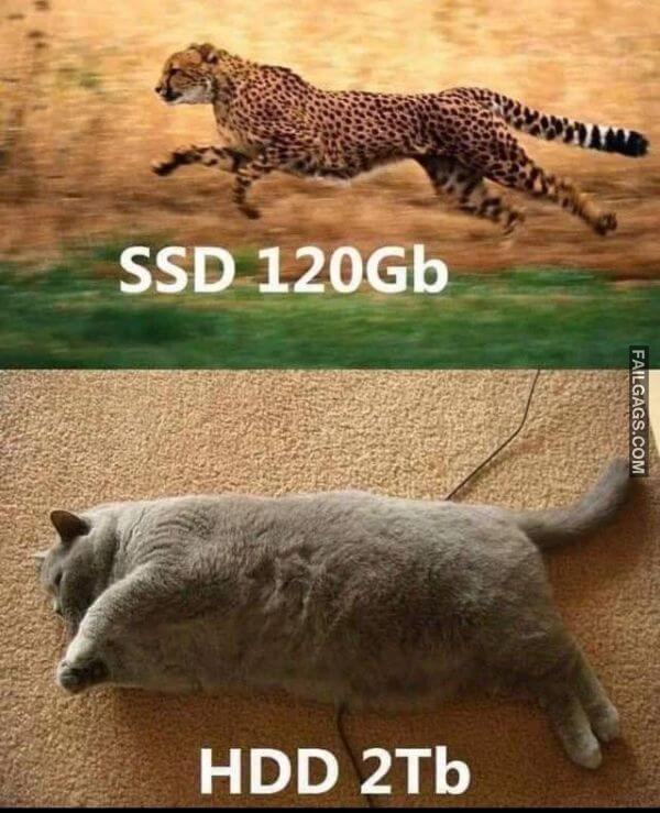 Random Funny Memes 13 1