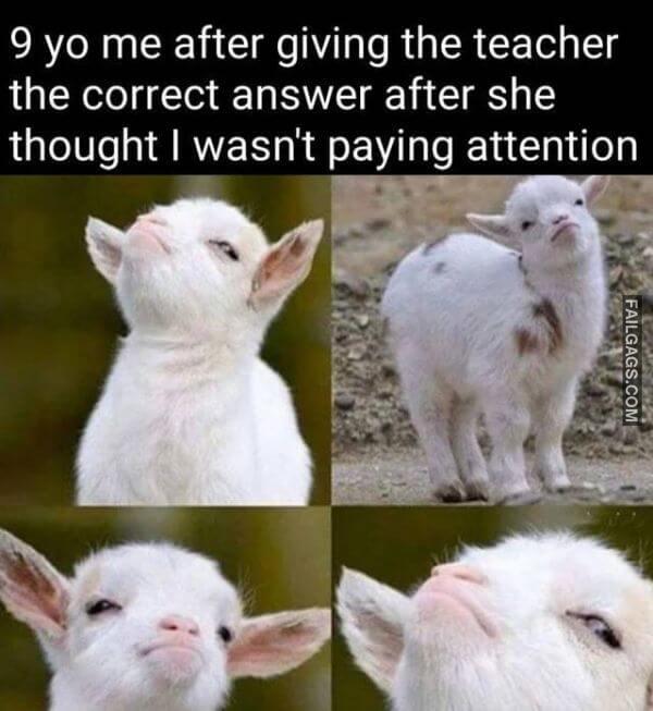 Random Funny Memes 14 4