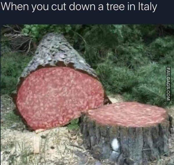 Random Funny Memes 14 5