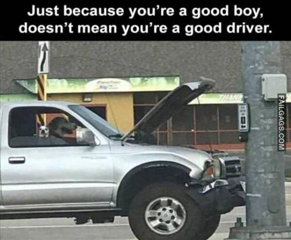 Random Funny Memes 15 4