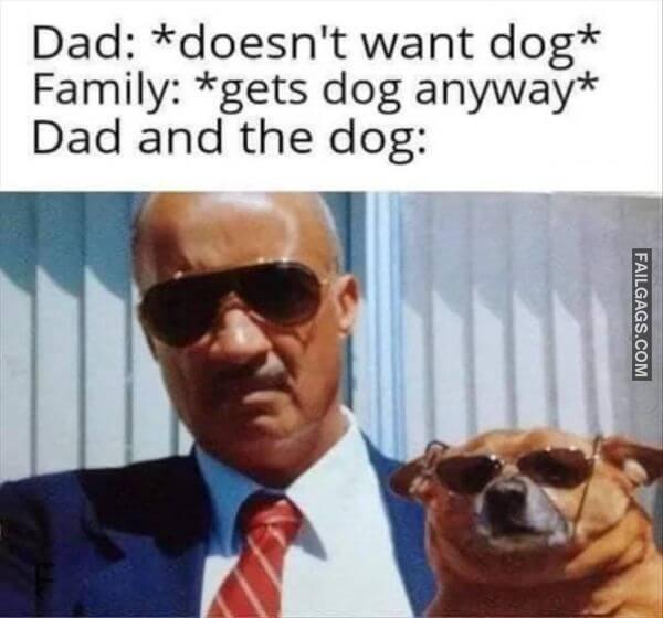 Random Funny Memes 16 4