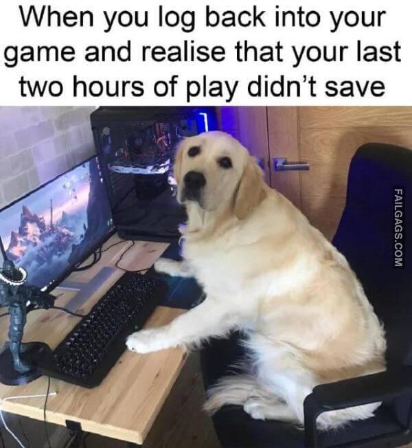 Random Funny Memes 7 4
