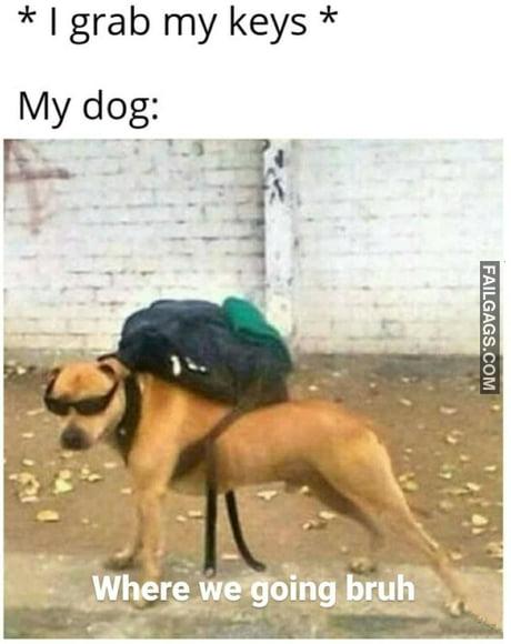 I Grab My Keys My Dog: Where We Going Bruh Meme