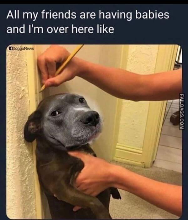 funny Memes For Single People 7
