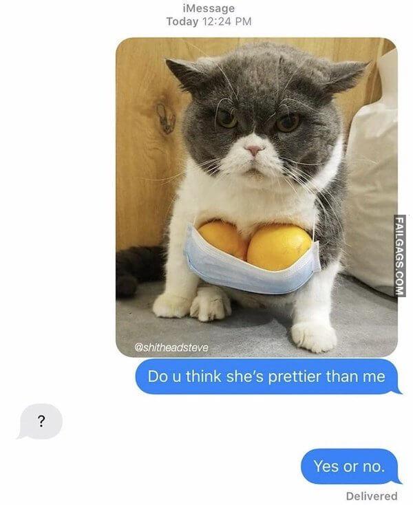 funny adult memes 11