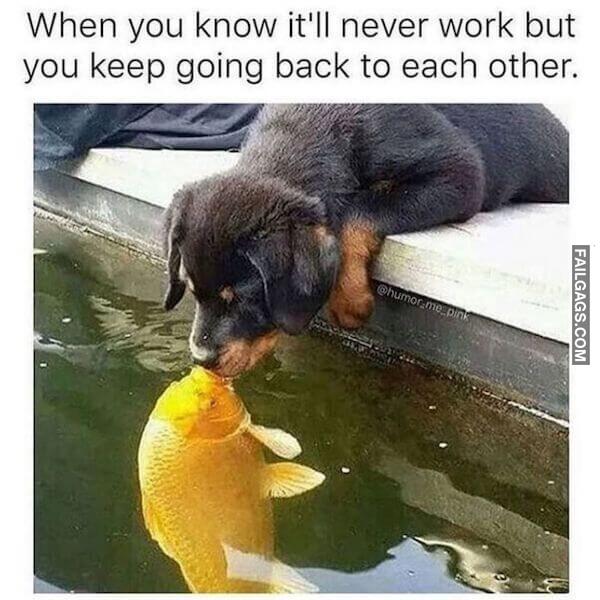 funny memes Only Women Will Understand 11