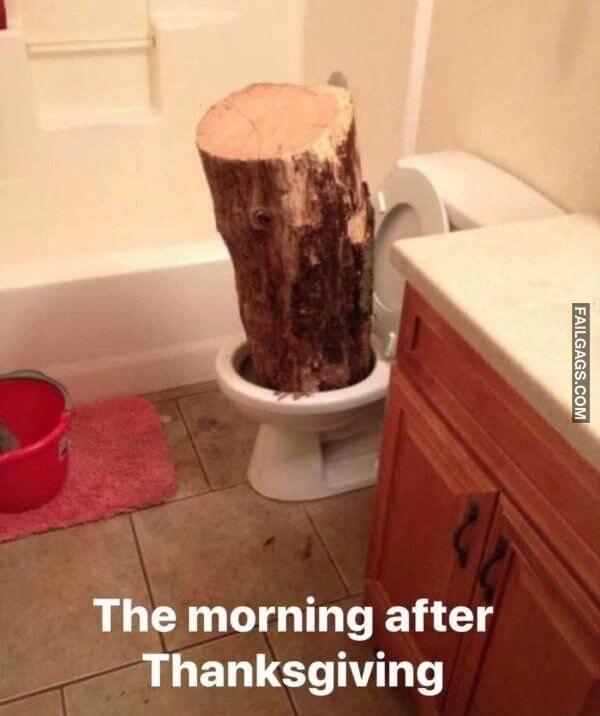 1606242206 7e3yfs16mm