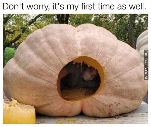 Funny Adult Dirty Memes 12