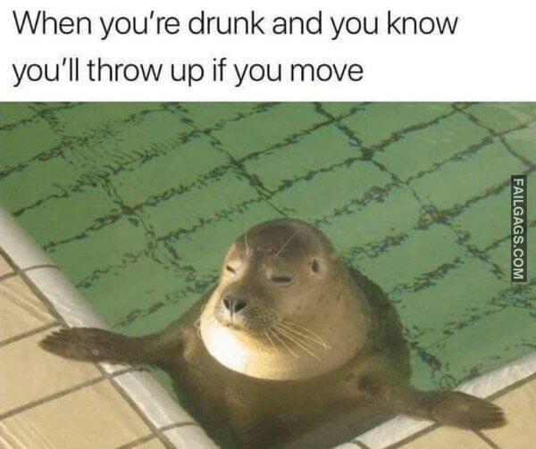 Funny Alcohol Memes 9