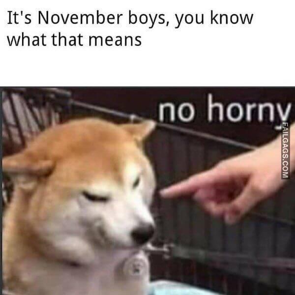 Funny Sex Memes in No Nut November 10