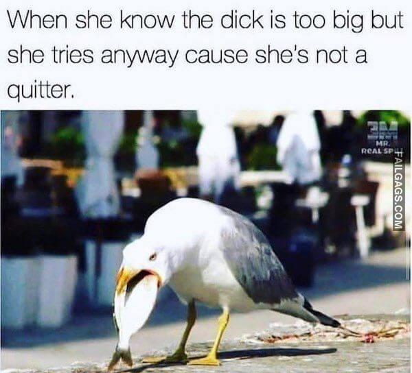 Funny Sex Memes in No Nut November 4