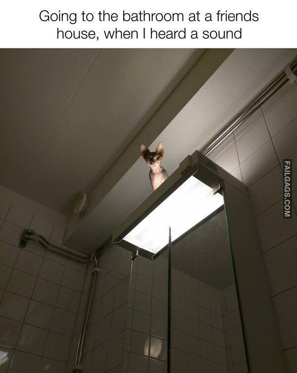 Hilarious Memes 11