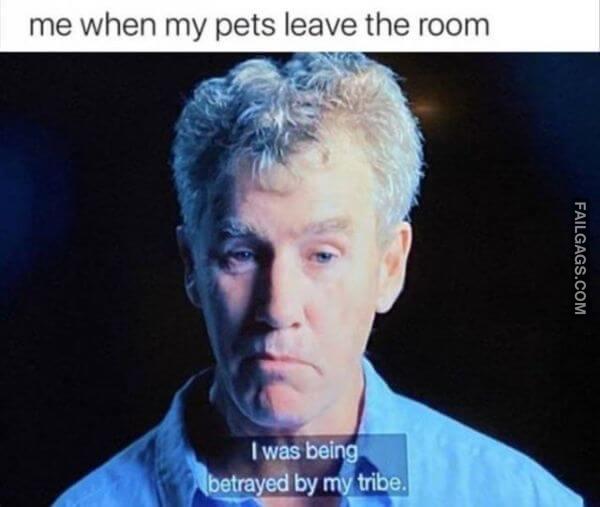 Hilarious Memes 3