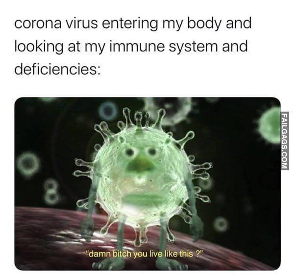 Hilarious Memes 5