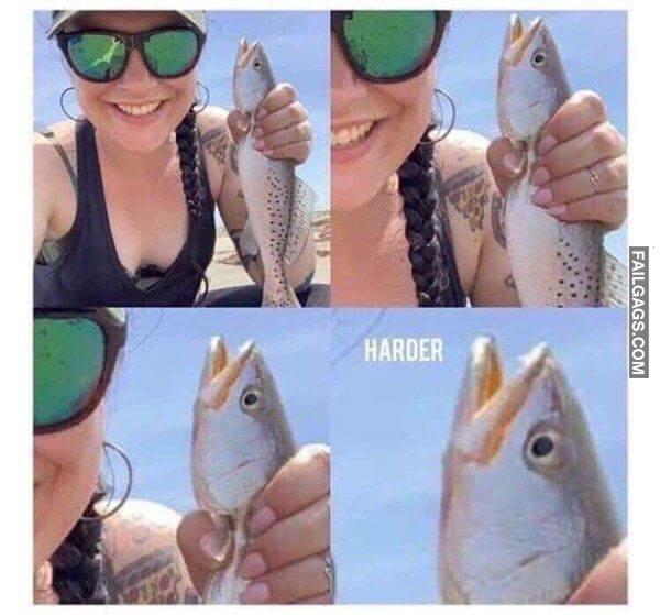 Hilarious Memes 6