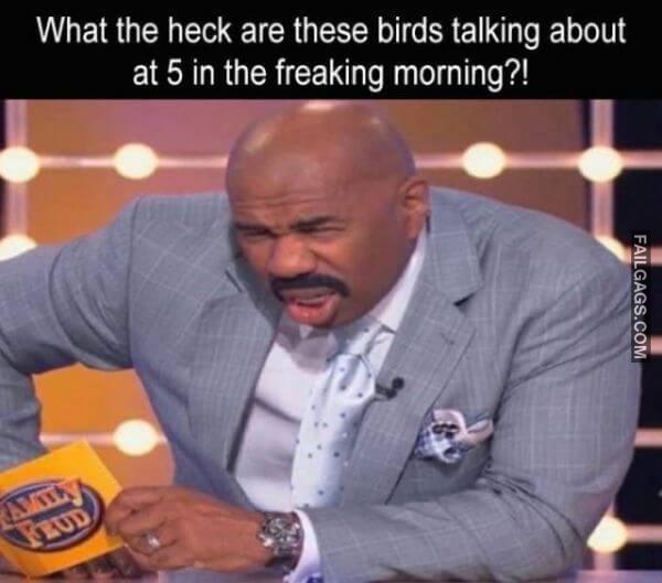 Random Funny Memes 10 3