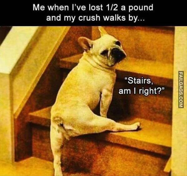 Random Funny Memes 18