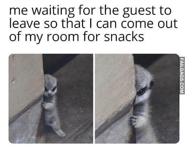 Random Funny Memes 2 3