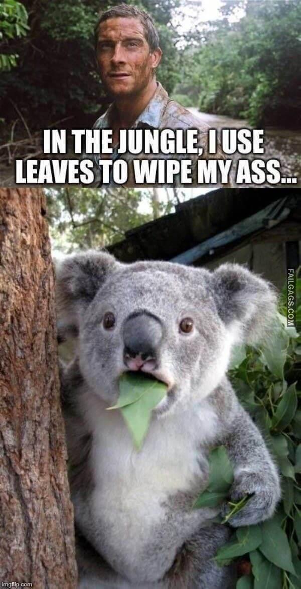 Random Funny Memes 2 9
