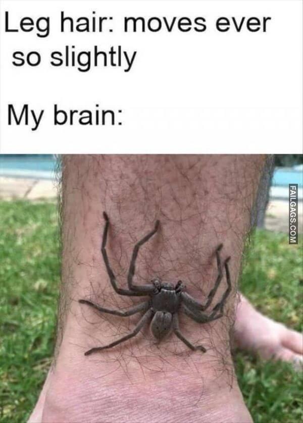 Random Funny Memes 3 1