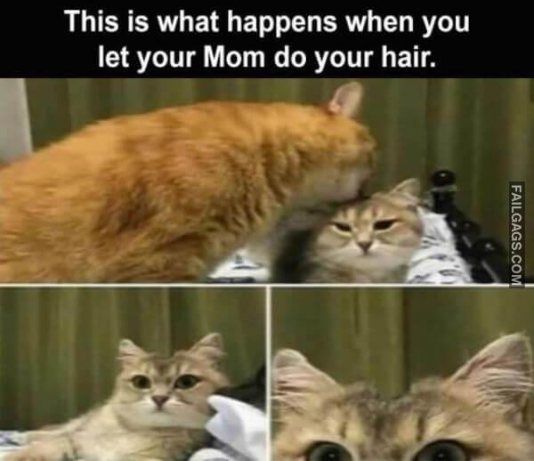 Random Funny Memes 6 4