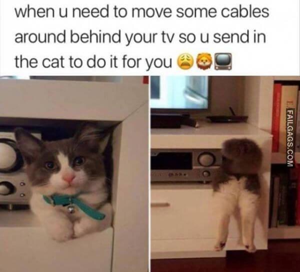 Random Funny Memes 6 8