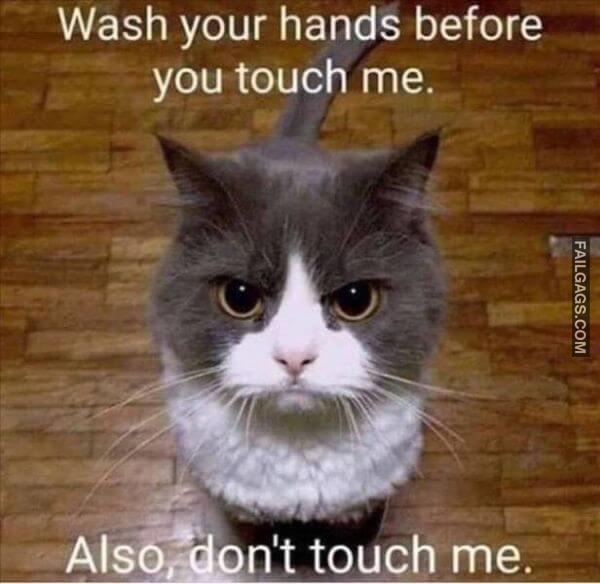 Random Funny Memes 7 1