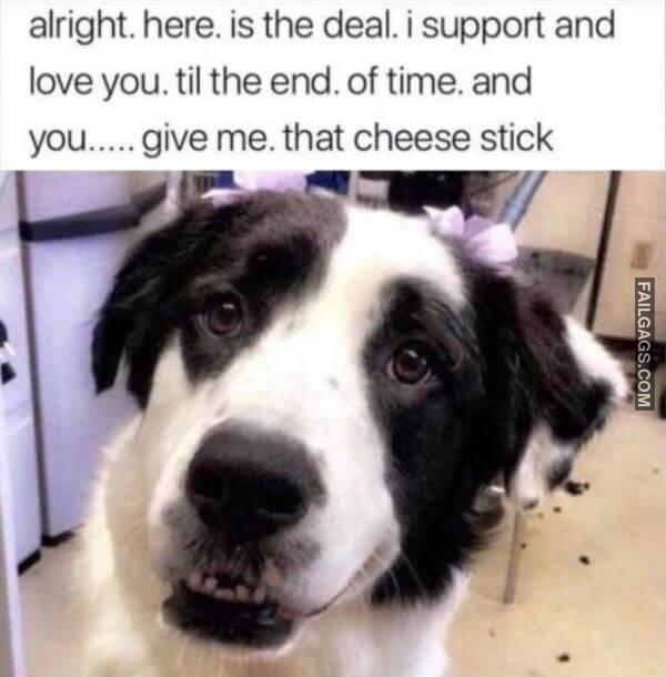 Random Funny Memes 7 10
