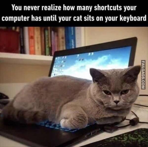 Random Funny Memes 8 1