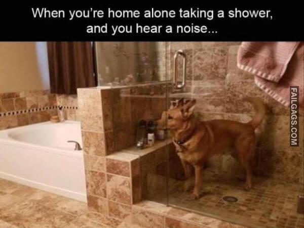 Random Funny Memes 8 3