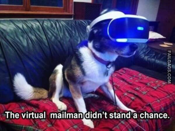 Random Funny Memes 9 7