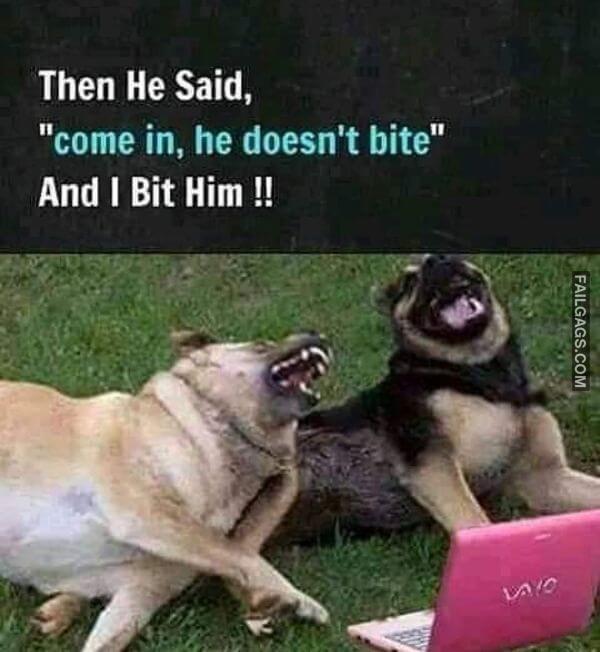 Then He Said Come in He Doesnt Bite and I Bit Him Meme