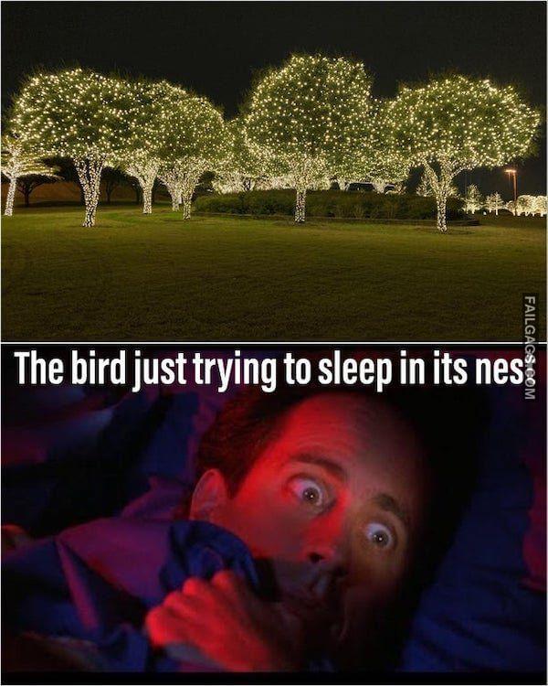 Dirty Memes 5