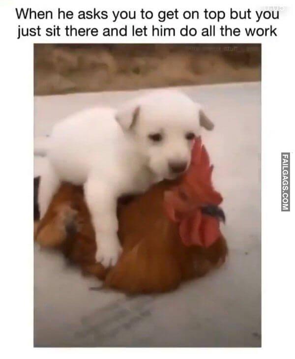 Funny Adult Memes 12